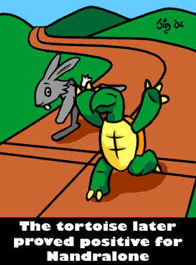 The Hare and the Tortoise Pictures, Images and Photos