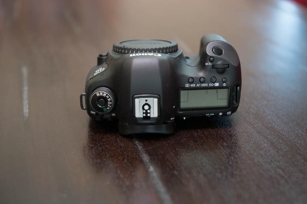 IMAGE: http://i281.photobucket.com/albums/kk202/youngortho/5D36of6.jpg