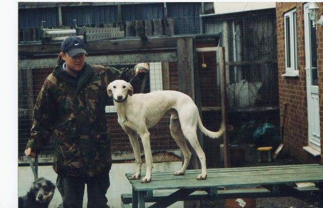Buddy-2.jpg