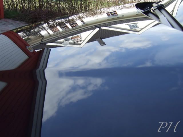 DSCF1415-1.jpg