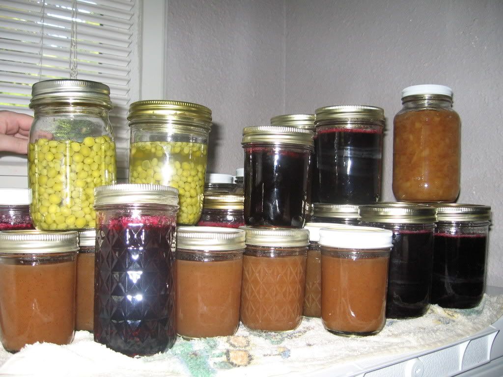 Another shot of the canned goods
