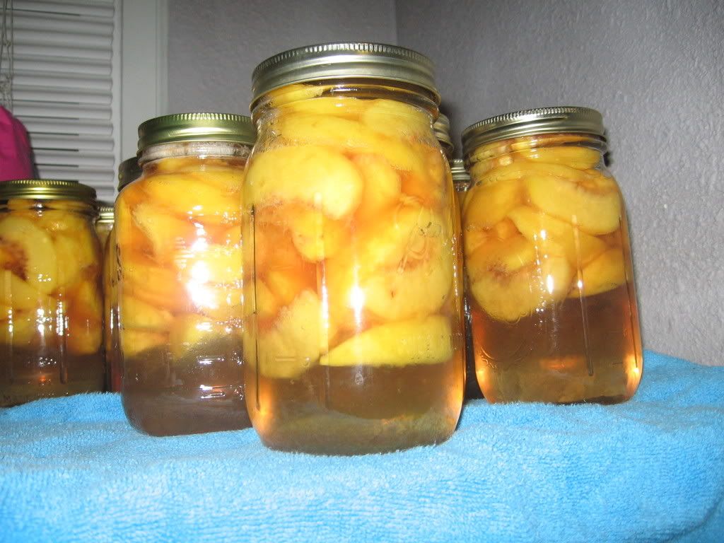 A close-up of the peaches