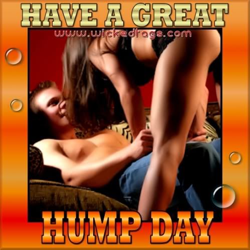 hump day Pictures, Images and Photos