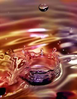 water droplet Pictures, Images and Photos