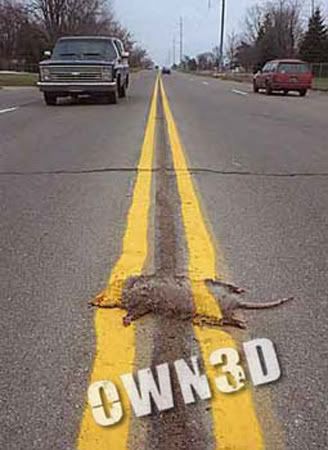 owned-roadkill.jpg