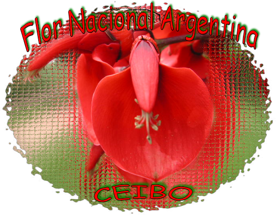 ceibo5arg.png picture by AfroditASi