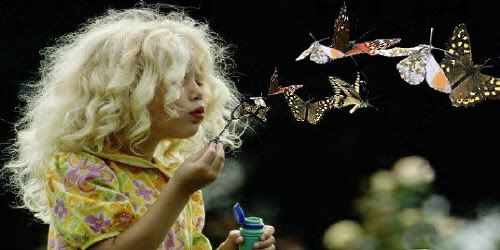 Blowing Butterflies