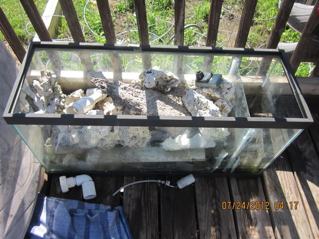 IMG 0752 - Free rock and sump
