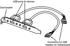 typical USB header cable set