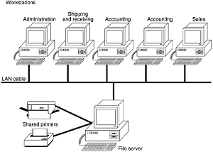 components of a client/server LAN