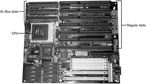 typical motherboard (albeit ancient) with VL-Bus slots