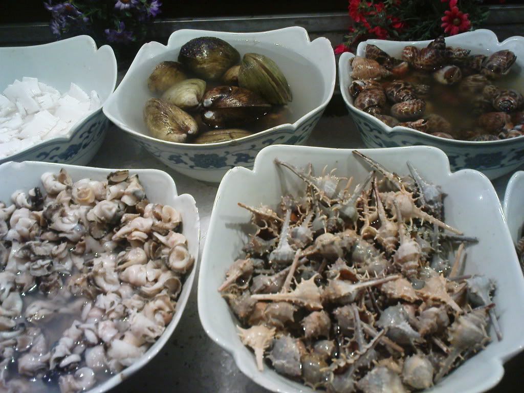 Jenis Siput Laut