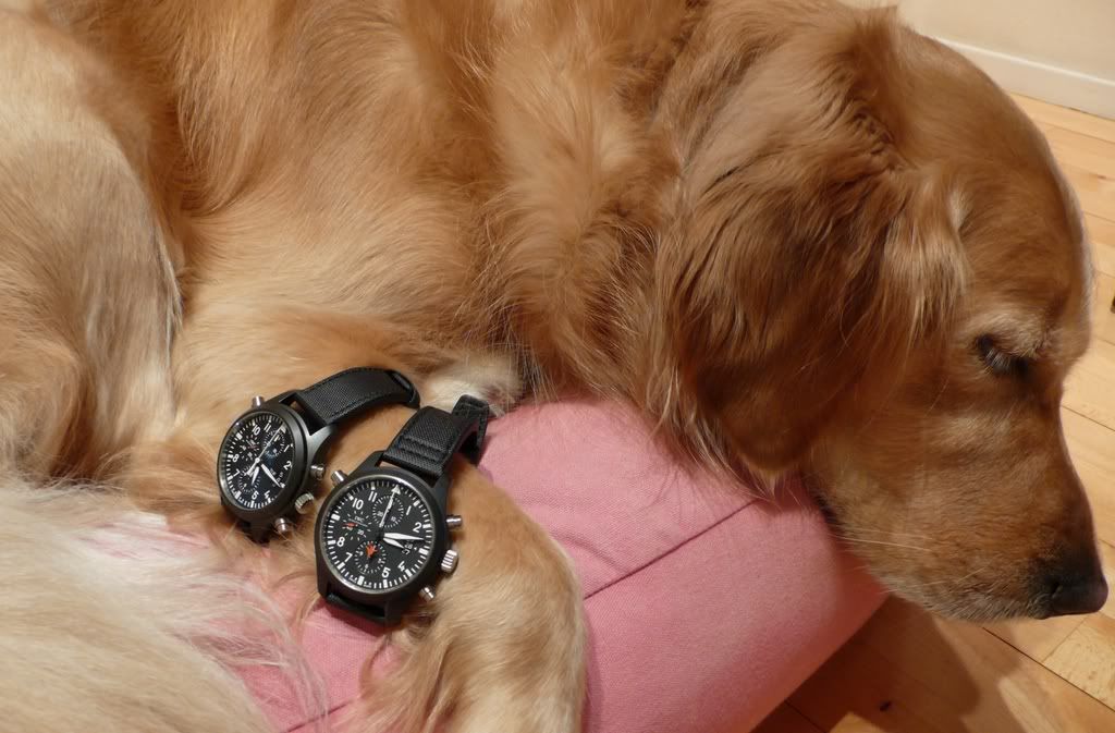 i281.photobucket.com/albums/kk213/scfong/2cer.jpg?t=1215048295