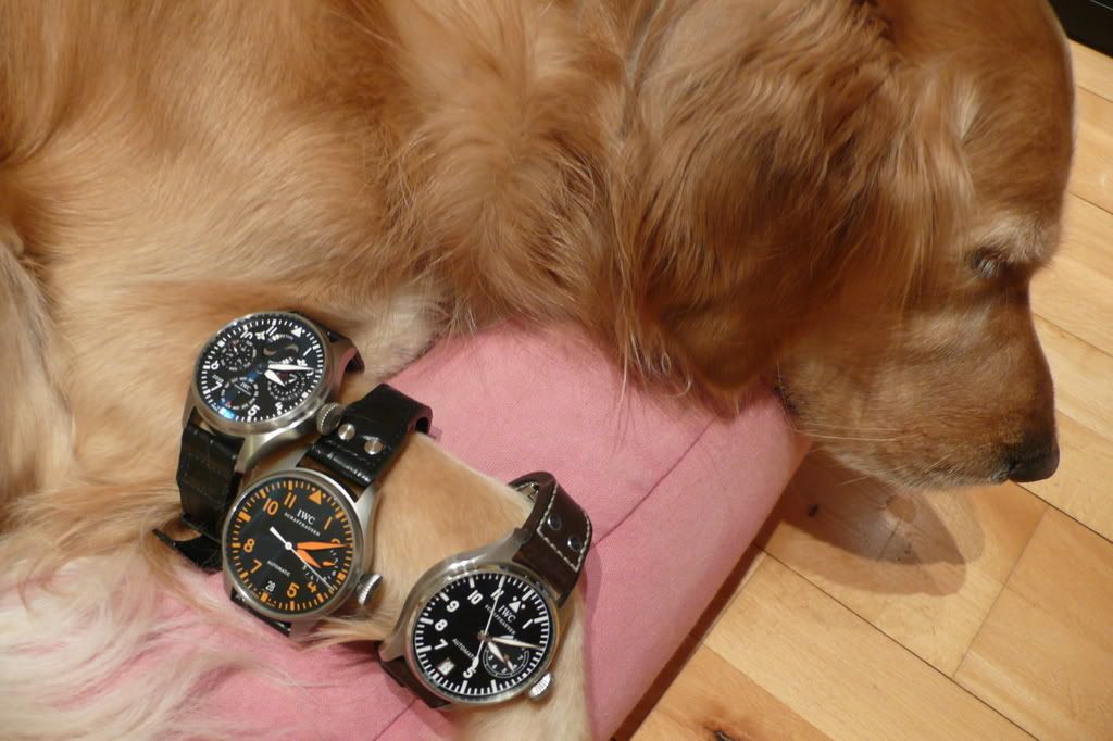 i281.photobucket.com/albums/kk213/scfong/3bp.jpg?t=1214991330