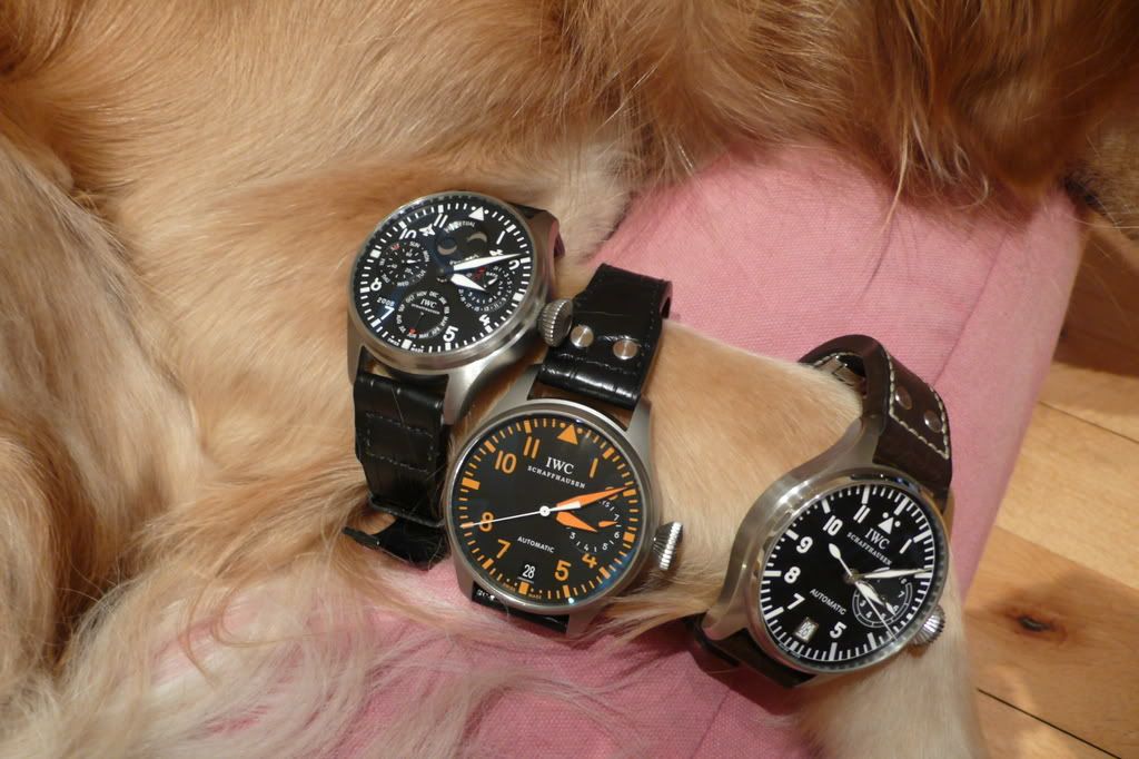 i281.photobucket.com/albums/kk213/scfong/3bphand.jpg?t=1214991286