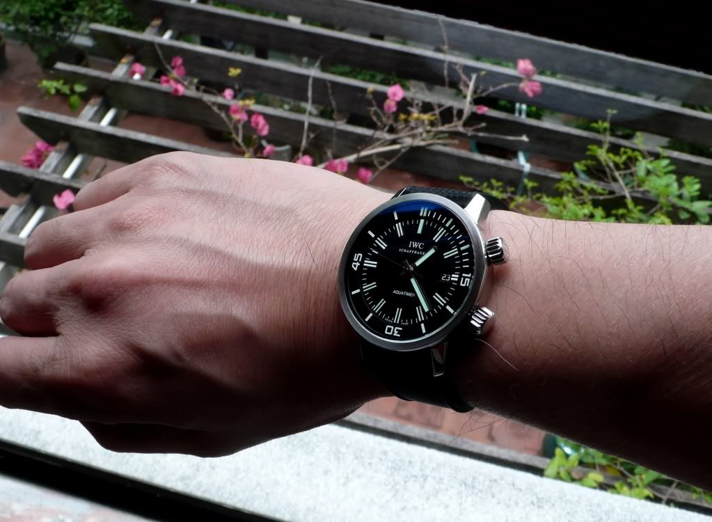 i281.photobucket.com/albums/kk213/scfong/Aquatimer2.jpg?t=1211771057