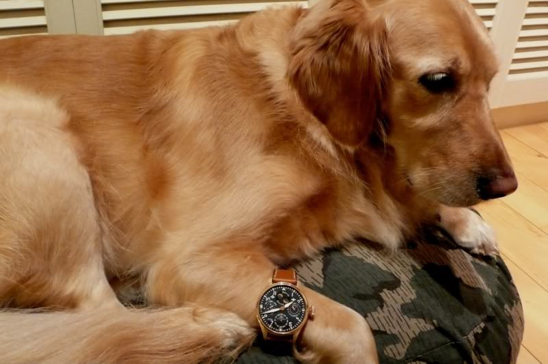 i281.photobucket.com/albums/kk213/scfong/L1040595.jpg?t=1233823878