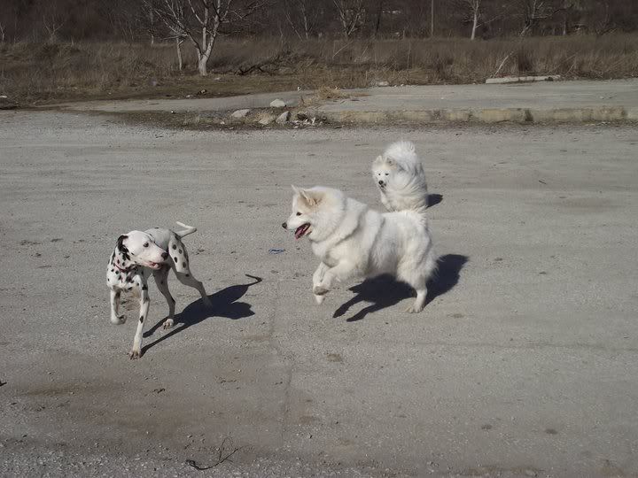 Качена снимка