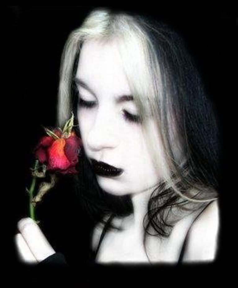 gothic rose Pictures, Images and Photos