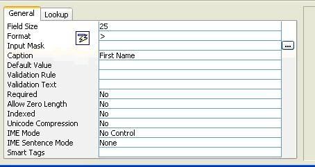 Picture of Access Table Design Properties Screen - probiztechnology.com