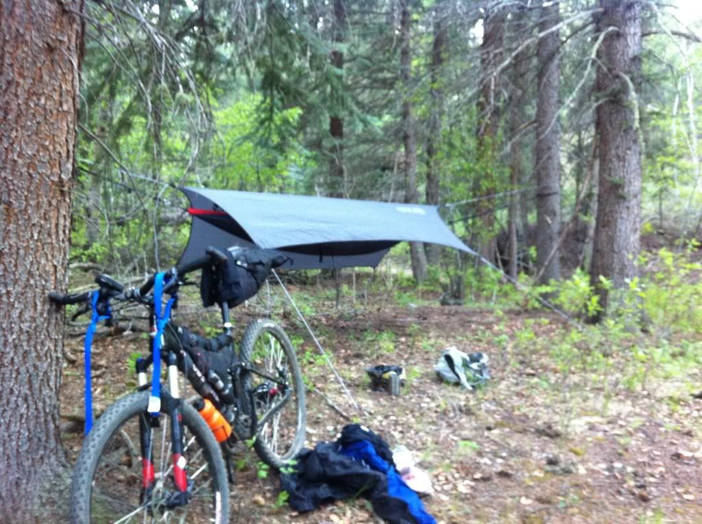 Uploaded from the Photobucket iPhone App