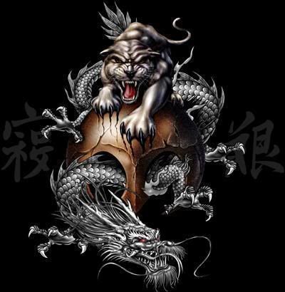 dragon tiger skull Pictures, Images and Photos