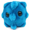 Rhinovirus