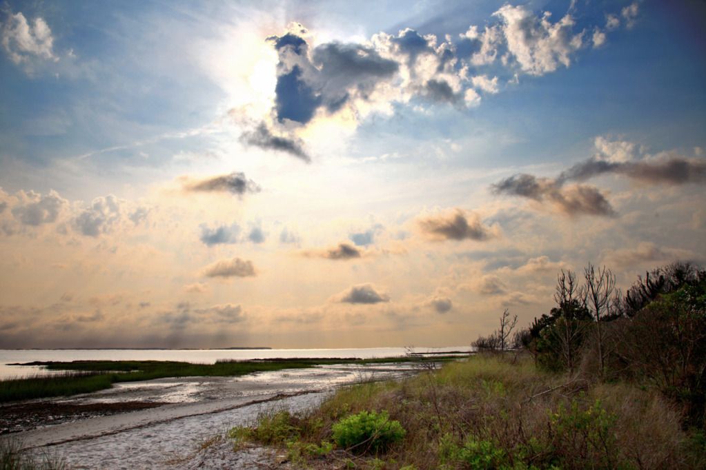 IMAGE: http://i281.photobucket.com/albums/kk218/sunhawk7/IMG_0233-1280s.jpg