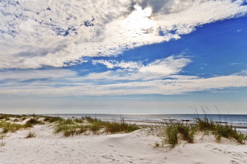 IMAGE: http://i281.photobucket.com/albums/kk218/sunhawk7/IMG_0325-1280.jpg