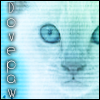 Dovepaw Avatar