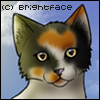 Maplekit Avatar