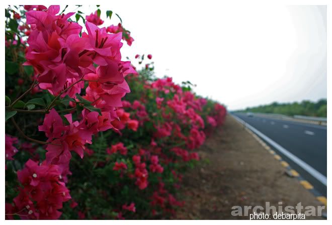 NE-1,National Expressway 1,Ahmedabad,Vadodra,Gujrat,Ahmedabad-Vadodra Expressway,India