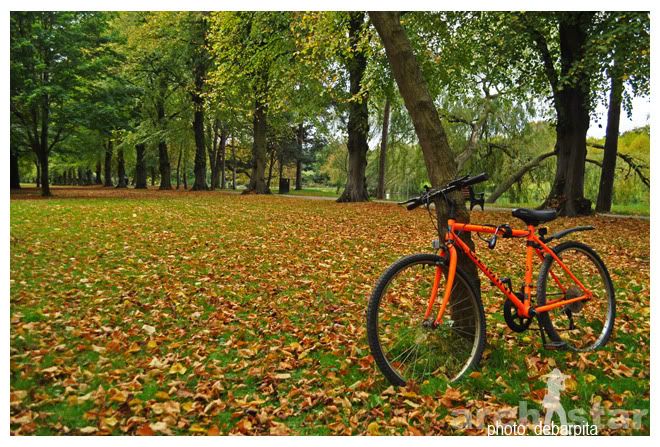 Nottingham,University of Nottingham,UK,Bikes,Bicycles,Cycles,Fall,Student Life