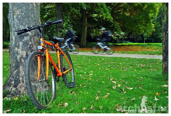 Nottingham,University of Nottingham,UK,Bikes,Bicycles,Cycles,Fall,Student Life