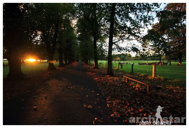 Wollaton Park,Wollaton Hall,Wollaton,Nottingham,UK,Nottinghamshire