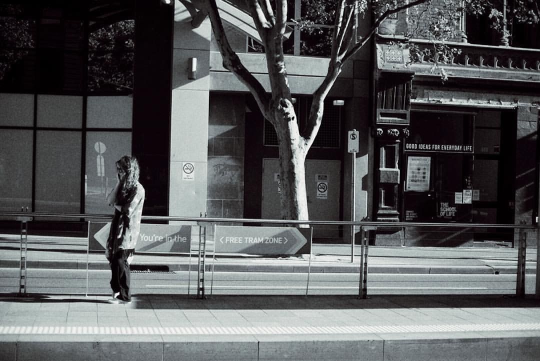 You're in the free tram zone... You're in the free tram zone...