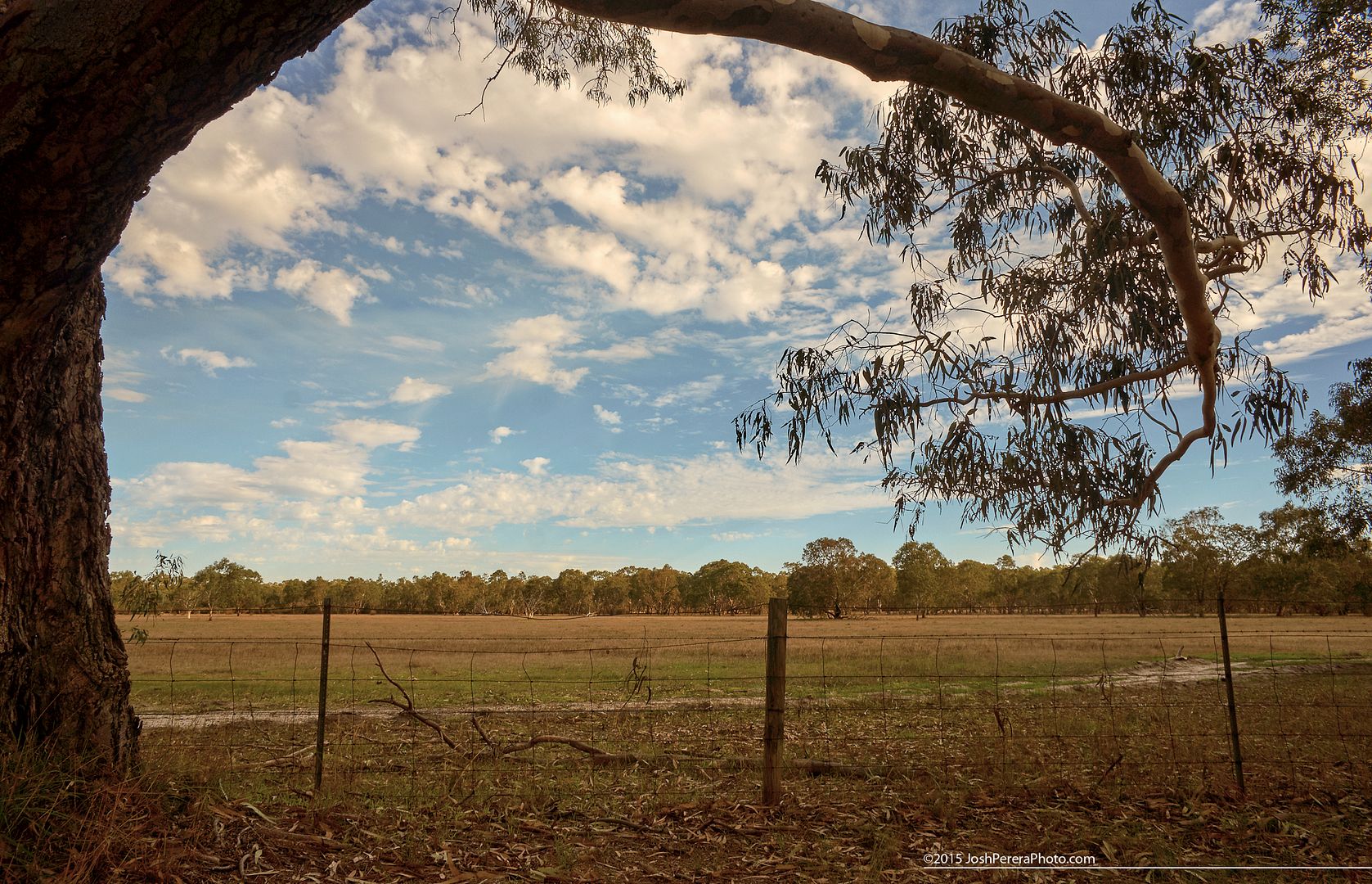 One fine day in the countryside... Taken with Sony Nex5n using the Sony 16mm f2.8 One fine day in the countryside... Taken with Sony Nex5n using the Sony 16mm f2.8