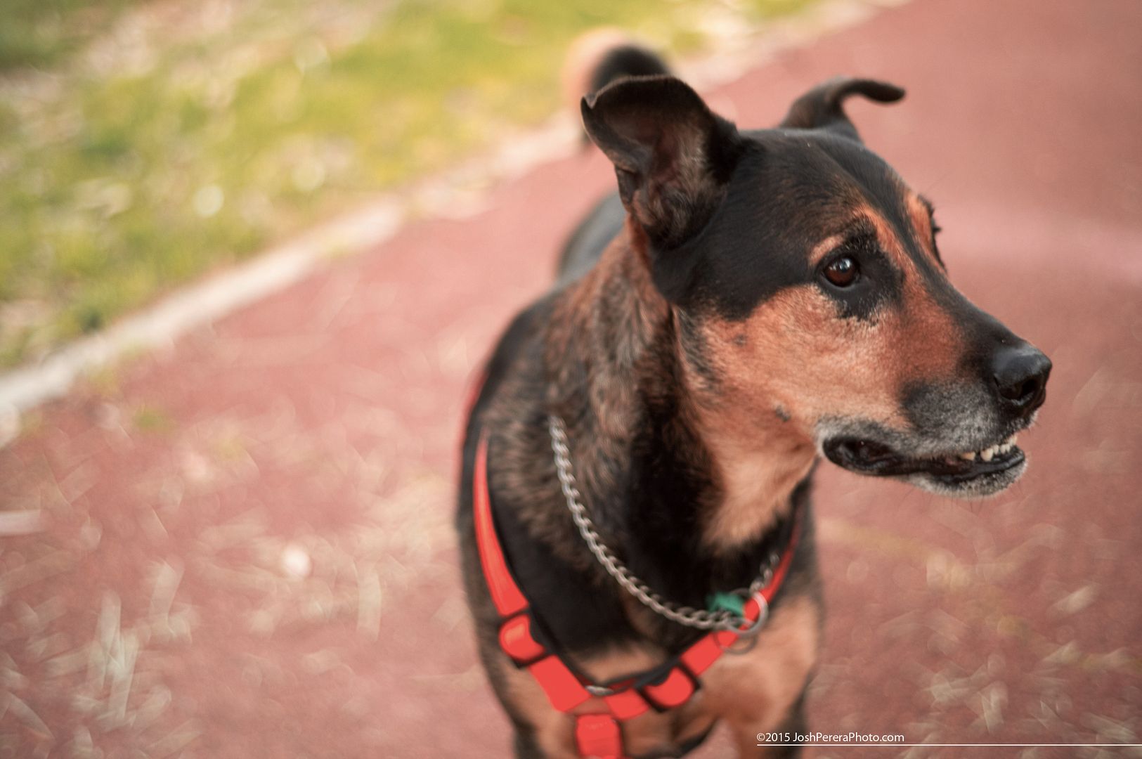 My mate Dengis. Taken with Sony Nex5n with Minolta 45m f2 My mate Dengis. Taken with Sony Nex5n with Minolta 45m f2