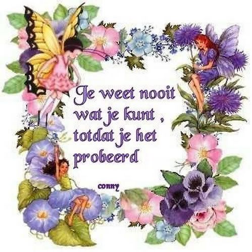 201049740_5_WFFP.jpg picture by betje28