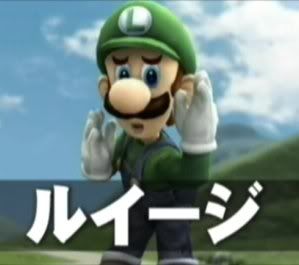 Luigi Brawl