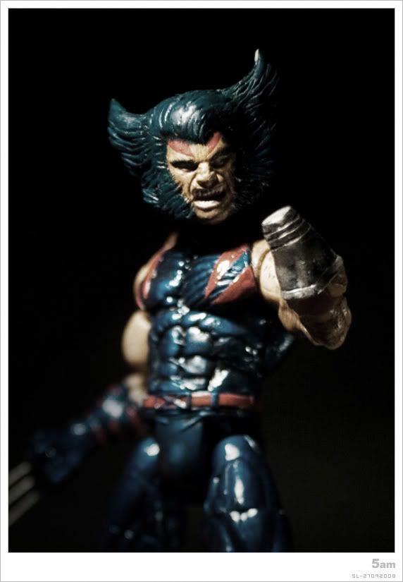 Aoa Wolverine