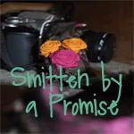 Smitten by a Promise