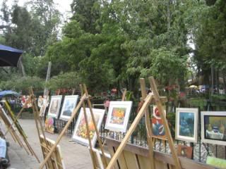 art displays in Jardin del Arte