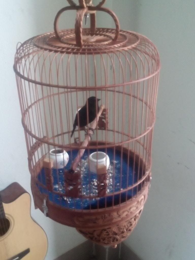 Q9_ Bán chòe đất giá rẽ