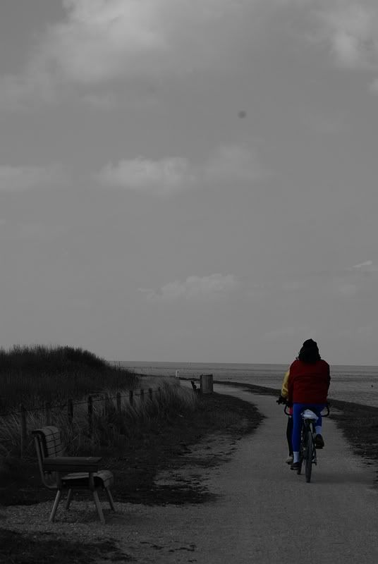 Fotografie