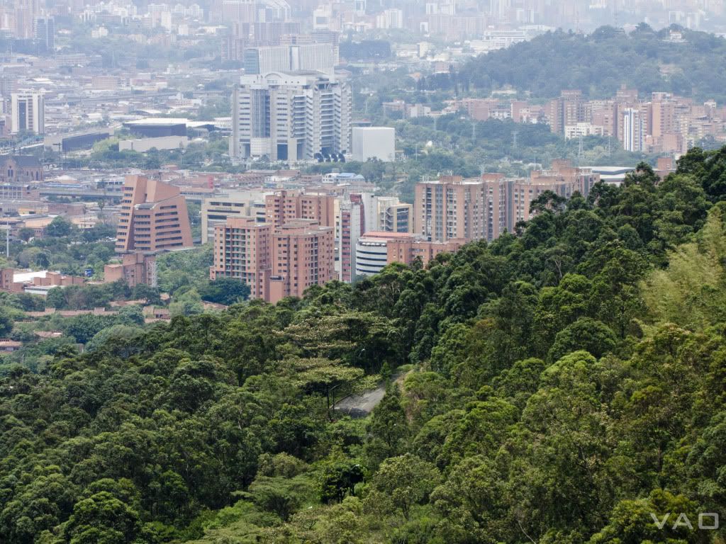 Saludcoop en medellin