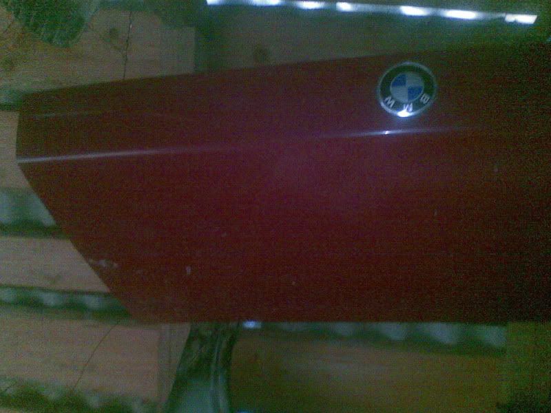 Pilt