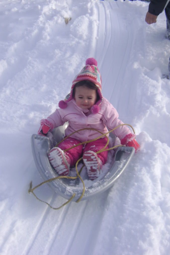 jan09072.jpg sledding! image by melissalucier_2008