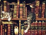 cat/books