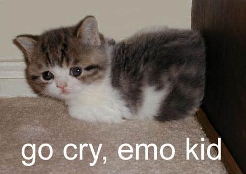 cry cry cry